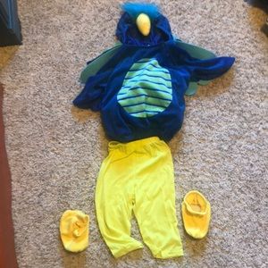 Blue jay or parrot costume